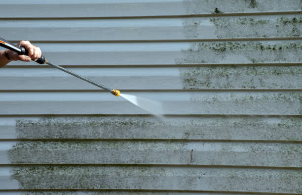 Best Gutter Cleaning  in Carrollwood, FL